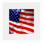 usa Glasses Cloth (Medium)