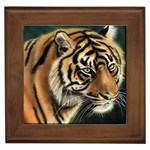 tiger Framed Tile