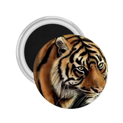 tiger 2.25  Magnet from UrbanLoad.com Front