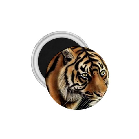 tiger 1.75  Magnet from UrbanLoad.com Front