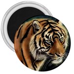 tiger 3  Magnet