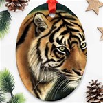 tiger Ornament (Oval)