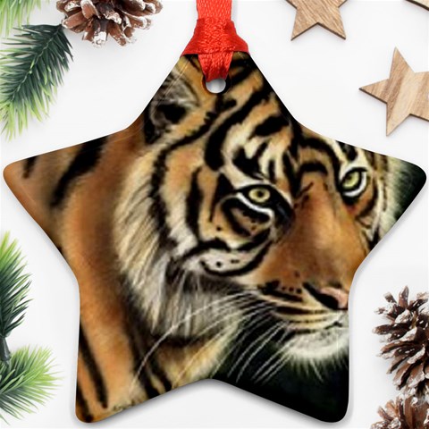 tiger Ornament (Star) from UrbanLoad.com Front