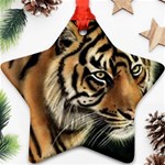 tiger Ornament (Star)