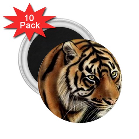 tiger 2.25  Magnet (10 pack) from UrbanLoad.com Front