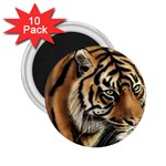 tiger 2.25  Magnet (10 pack)