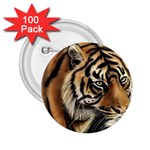 tiger 2.25  Button (100 pack)