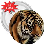 tiger 3  Button (10 pack)