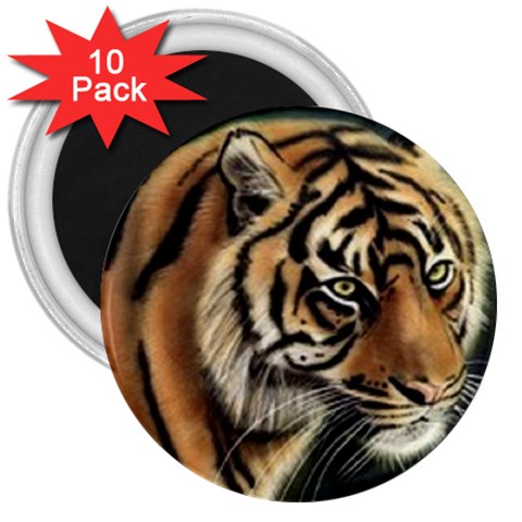 tiger 3  Magnet (10 pack) from UrbanLoad.com Front