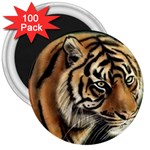 tiger 3  Magnet (100 pack)