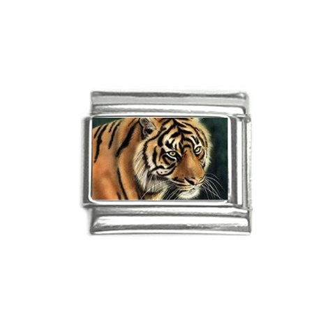 tiger Italian Charm (9mm) from UrbanLoad.com Front