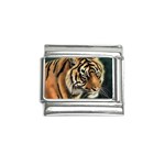 tiger Italian Charm (9mm)