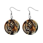 tiger 1  Button Earrings