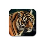 tiger Rubber Square Coaster (4 pack)