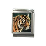 tiger Italian Charm (13mm)