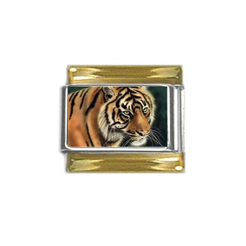 tiger Gold Trim Italian Charm (9mm) from UrbanLoad.com Front