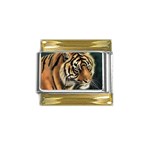 tiger Gold Trim Italian Charm (9mm)