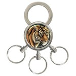 tiger 3-Ring Key Chain