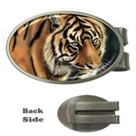 tiger Money Clip (Oval)