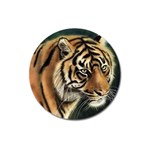 tiger Magnet 3  (Round)