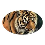 tiger Magnet (Oval)