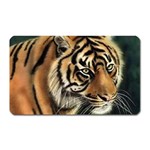 tiger Magnet (Rectangular)