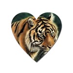 tiger Magnet (Heart)