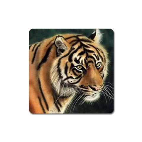 tiger Magnet (Square) from UrbanLoad.com Front