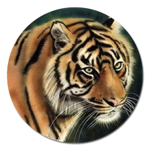 tiger Magnet 5  (Round) from UrbanLoad.com Front
