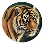 tiger Magnet 5  (Round)