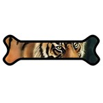 tiger Magnet (Dog Bone)