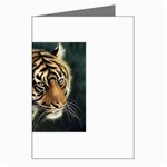 tiger Greeting Card