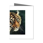 tiger Mini Greeting Cards (Pkg of 8)