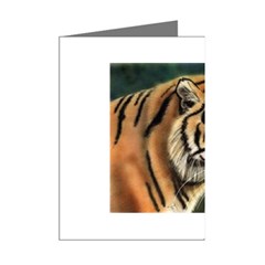 tiger Mini Greeting Cards (Pkg of 8) from UrbanLoad.com Right