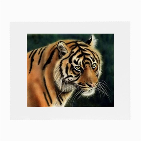 tiger Glasses Cloth (Small) from UrbanLoad.com Front