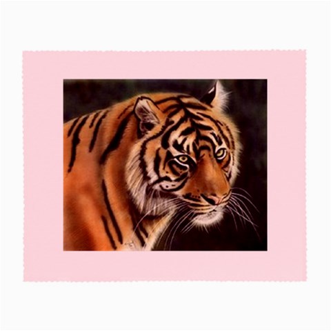 tiger Glasses Cloth (Small) from UrbanLoad.com Front