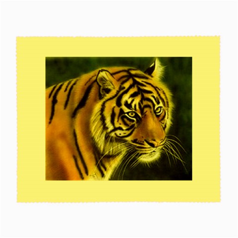 tiger Glasses Cloth (Small) from UrbanLoad.com Front