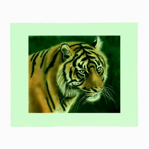 tiger Glasses Cloth (Small) from UrbanLoad.com Front