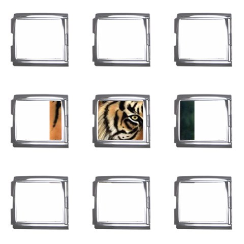 tiger Mega Link Italian Charm (9 pack) from UrbanLoad.com Front