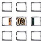 tiger Mega Link Italian Charm (9 pack)