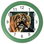 tiger Color Wall Clock