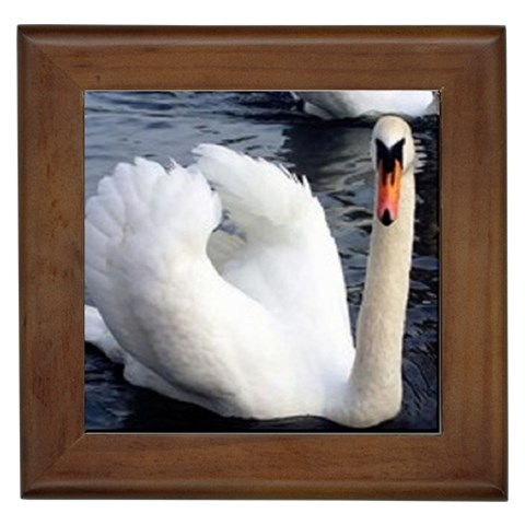 swan Framed Tile from UrbanLoad.com Front