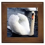 swan Framed Tile