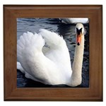 swan Framed Tile