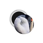 swan 1.75  Magnet