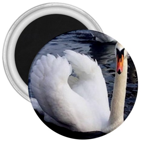 swan 3  Magnet from UrbanLoad.com Front