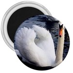 swan 3  Magnet