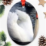 swan Ornament (Oval)