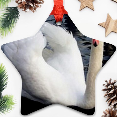 swan Ornament (Star) from UrbanLoad.com Front