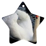 swan Ornament (Star)